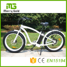 High Power Adults Fat Tyre Electric Bicycle Made in China